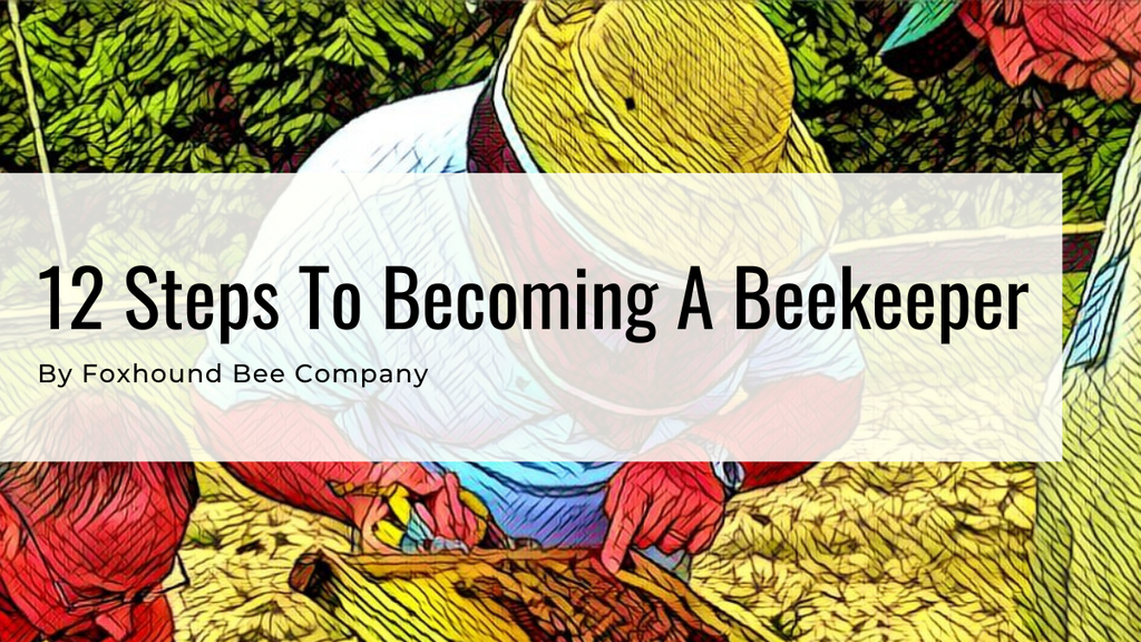 12 Steps To Becoming A Beekeeper