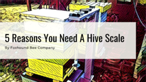 5 Reasons You Need A Hive Scale