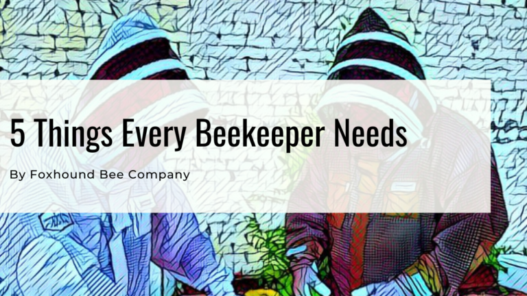 5 Things Every Beekeeper Needs To Start Beekeeping