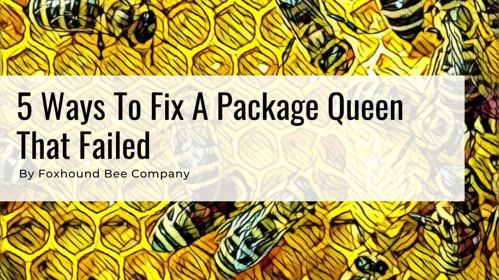 5 Ways To Fix A Package Queen That Failed