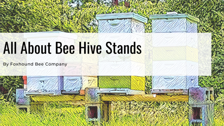 Bee Hive Stands