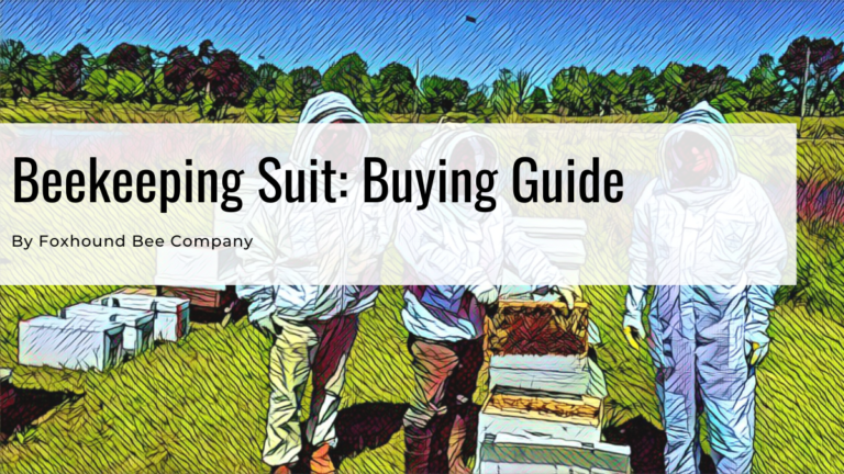 Beekeeping Suit: Buying Guide