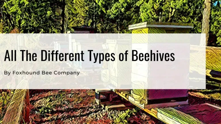 Common Types of Bee Hives (with Handicap Accessible Options)