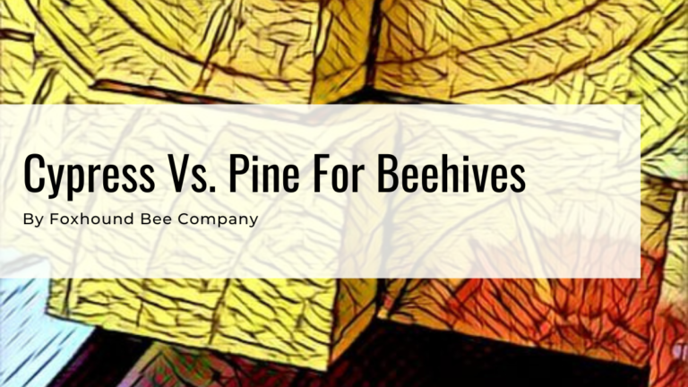 Cypress Vs. Pine For Beehives