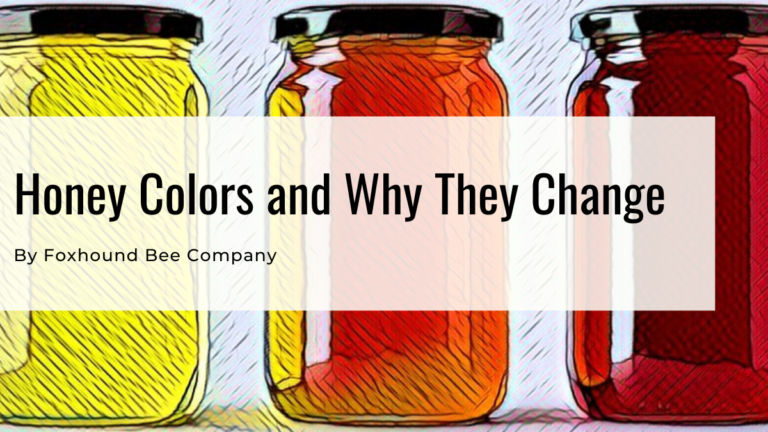 Honey Colors And Why They Change