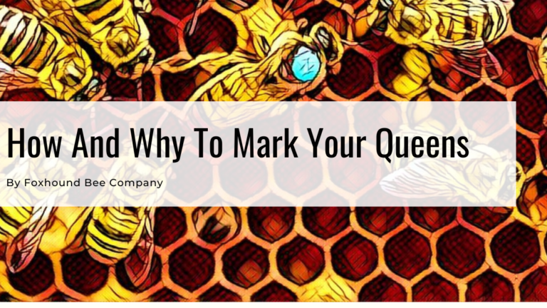 How and Why To Mark Your Queen Bee