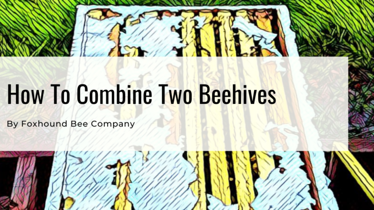 How To Combine Two Beehives