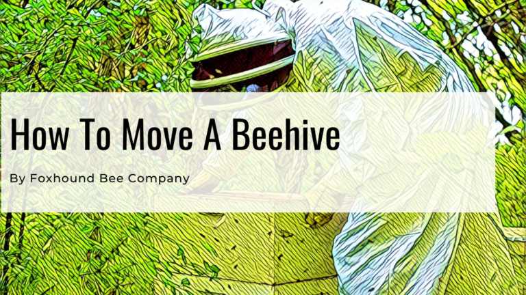 How To Move A Beehive