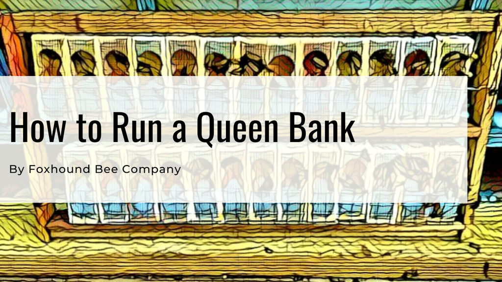 How To Run A Queen Bank