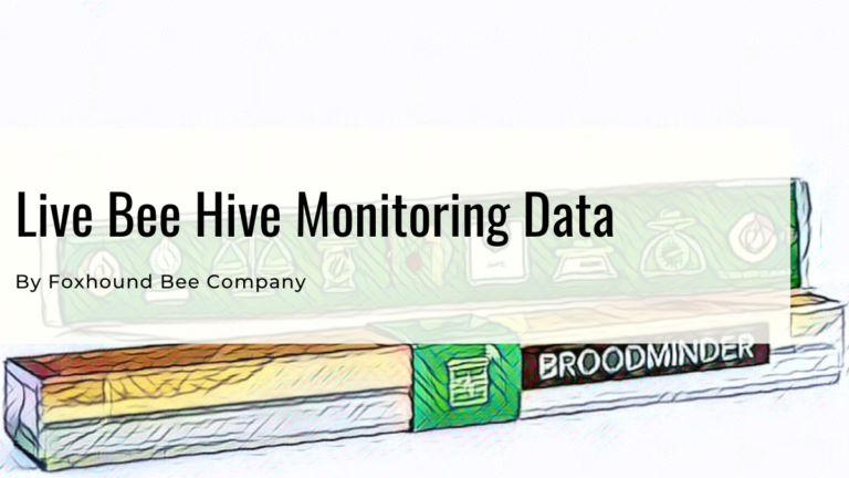 Live Bee Hive Scale And Sensor Data