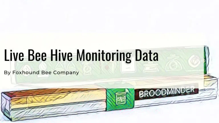 Live Bee Hive Scale And Sensor Data