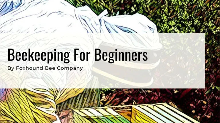 Master Guide – Beekeeping For Beginners