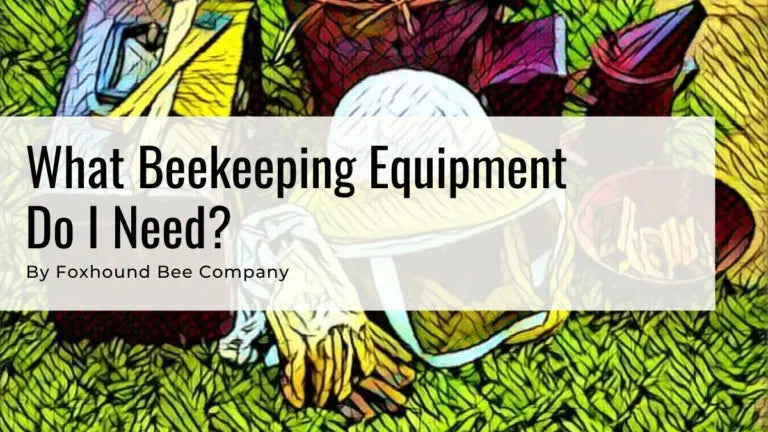 Master Guide – What Beekeeping Equipment Do I Need?