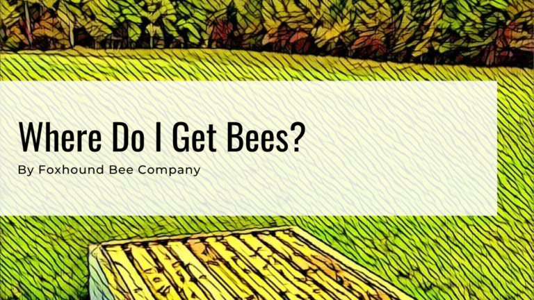 Master Guide – Where Do I Get Bees?