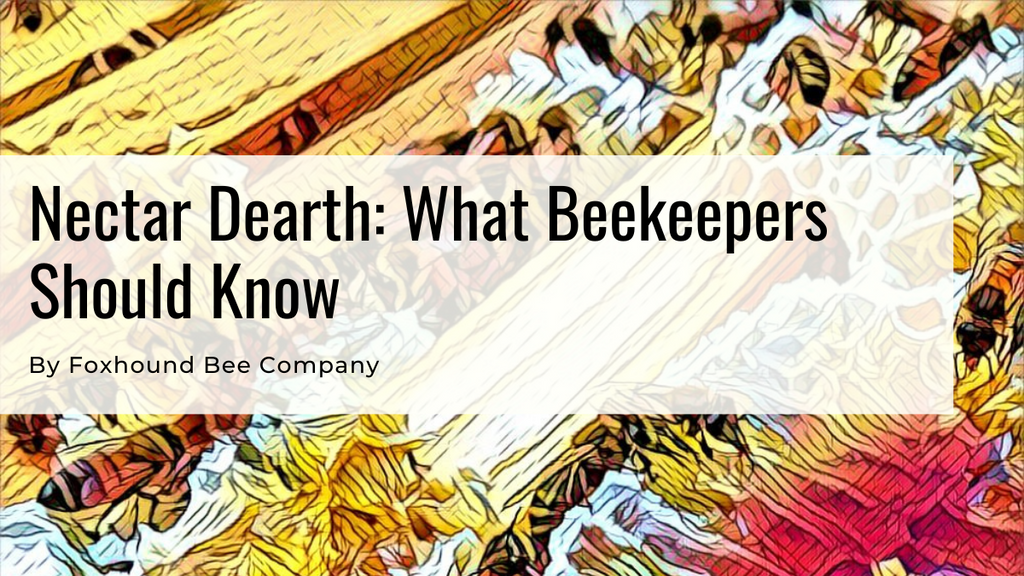 Nectar Dearth: What Beekeepers Should Know