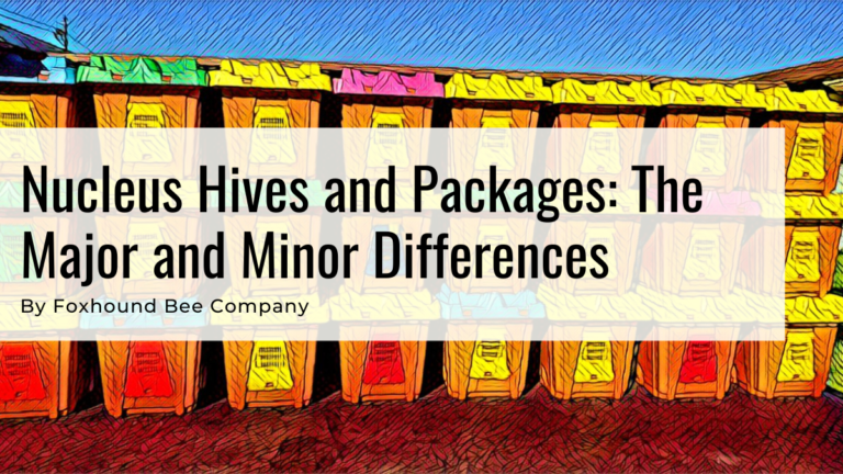 Nucleus Hives and Packages, The Major and Minor Differences plus What’s Next?