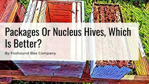 Packages Or Nucleus Hives, Which Is Better?