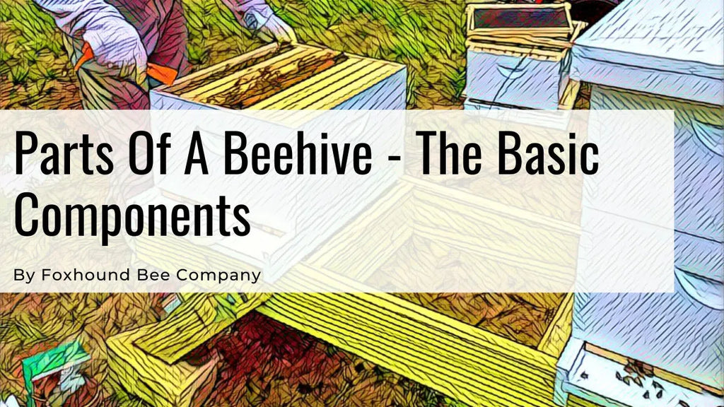 Parts Of A Beehive – The Basic Components