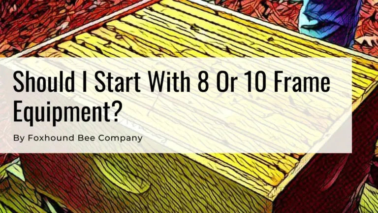 Should I Start With 8 Or 10 Frame Equipment?