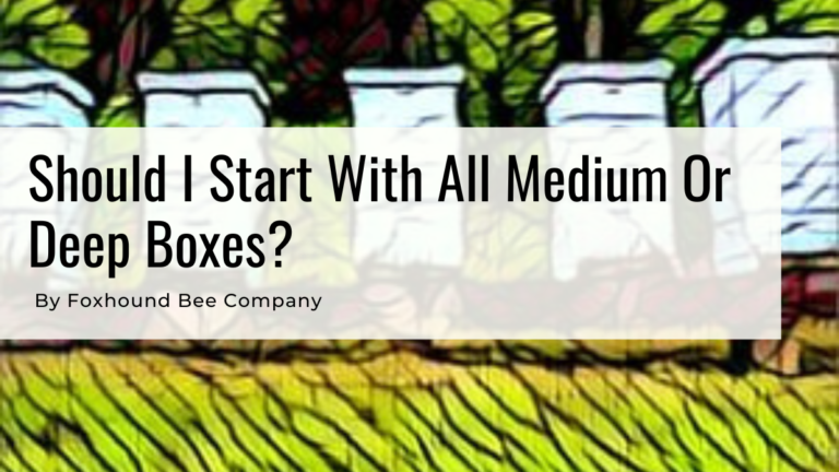 Should I Start With All Medium Or Deep Boxes?