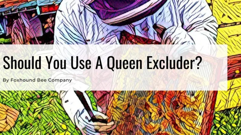 Should You Use A Queen Excluder?