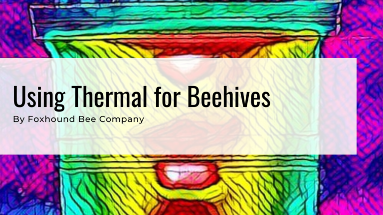 Using A Thermal Camera For Beekeeping