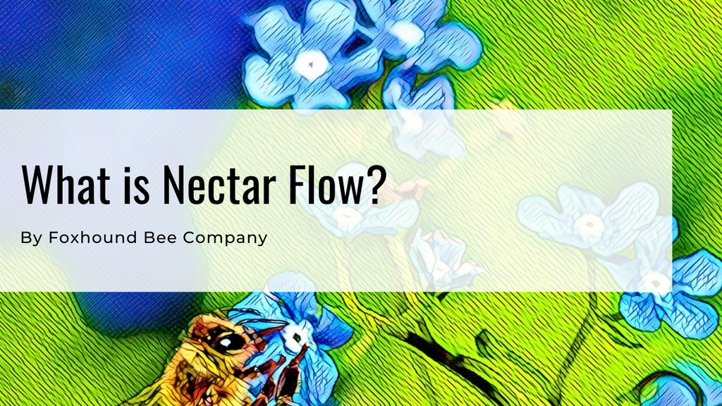 What Is A Nectar Flow?