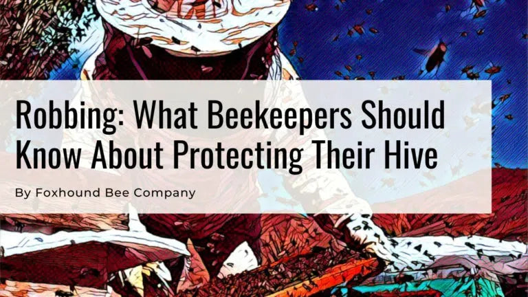 What Is Robbing And What Beekeepers Should Know About Protecting Their Hive