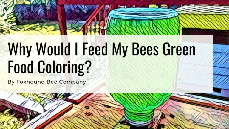 Why Would I Feed My Bees Green Food Coloring?