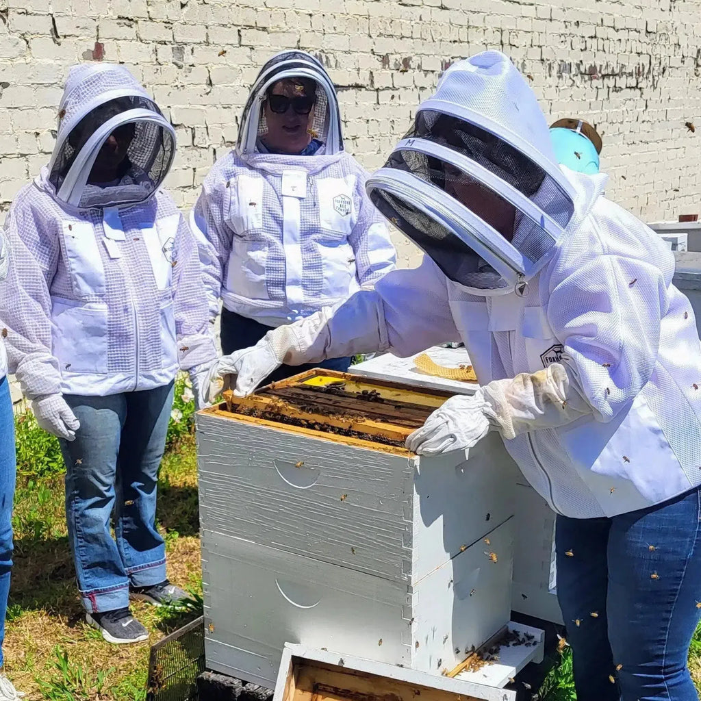 In-Person Beekeeping Classes-Foxhound Bee Company