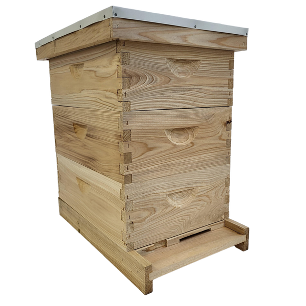 8-Frame All-Medium Box Hive Kit